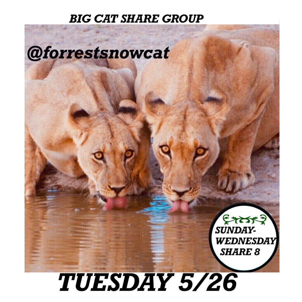 BIG CAT SHARE GROUP   TUESDAY 5/26 SIGN UP